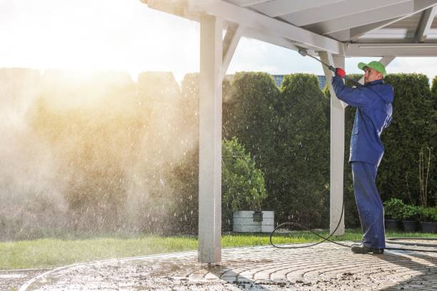 Best Roof Washing  in Valley City, ND